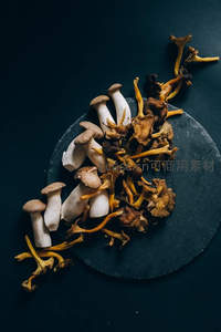 菌菇艺术摆盘，黑色石板映衬食材本真色泽