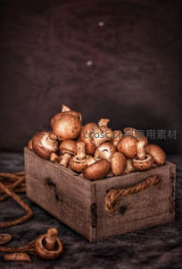 木箱盛满新鲜采摘的香菇