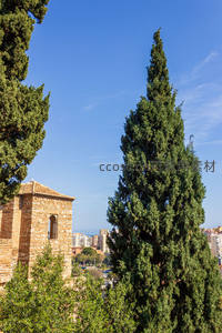 古塔与柏树映衬下的城市天际线