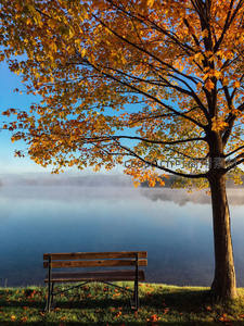 秋日湖畔长椅，金叶映晨雾