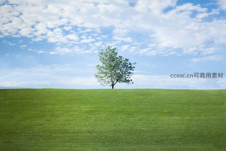 绿野孤树白云飘，清新草原无限生机