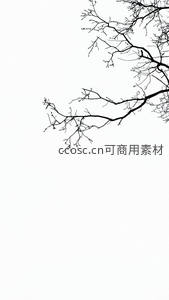枯枝剪影白背景，极简艺术感十足