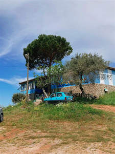 蓝屋绿树，乡野小径上的悠闲时光