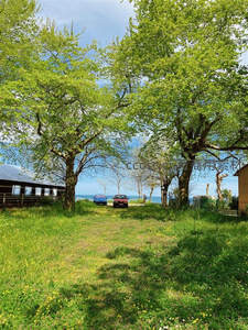 绿荫小径通向海边，春日清新怡人