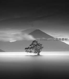 孤树湖心，黑白世界里的禅意山水