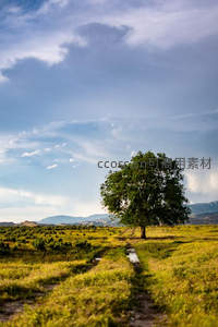 草原小径通向远方绿树与山峦