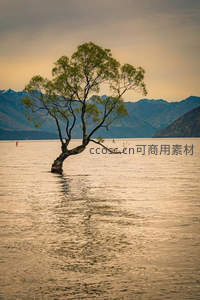 湖中孤树映晚霞，远山如黛水天一色