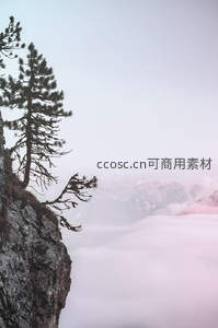 悬崖松树俯瞰云海与远山