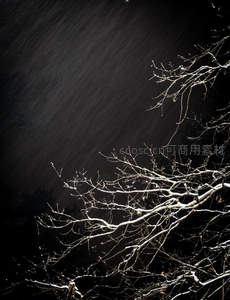 暴风雪夜中覆雪的枯枝