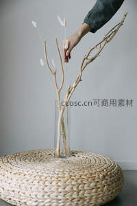 手轻触花瓶中的干枝装饰