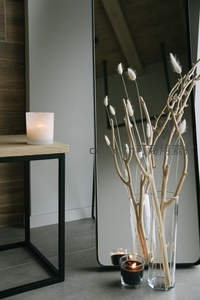 镜前烛光与干枝的静谧角落