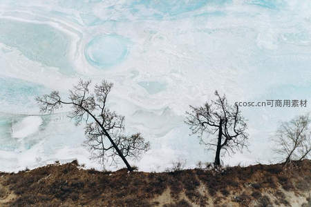 冰湖之畔枯树航拍