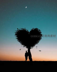 心形树下情侣剪影，星空见证浪漫时刻