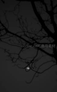 月光透过枯枝的静谧夜景