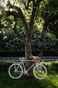 白车倚树享午后，绿荫花丛添浪漫