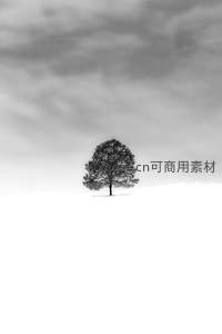 雪野松树云影间