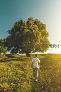 少年走向草原巨树背影