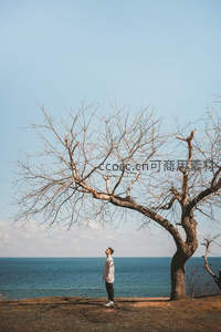 海边枯枝下，男子仰望无垠碧空