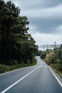 蜿蜒公路穿林而过，阴云密布显苍凉