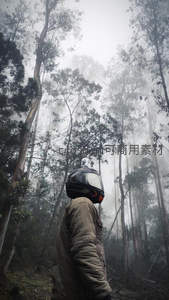 雾中森林里的摩托车手仰望高耸树冠