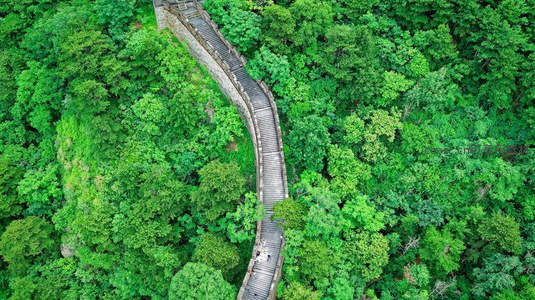 绿海中的古道蜿蜒如龙