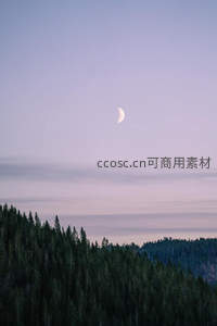 月悬林梢暮色染天边