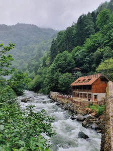 山涧溪流旁木屋静谧安逸的田园生活