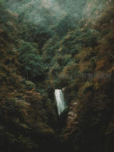 深谷秘境，瀑布从翠绿林海中倾泻