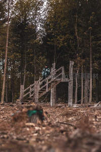 林中木梯独行者，落叶铺就寂寥路