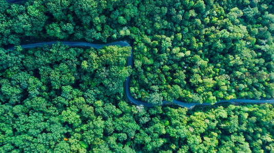 鸟瞰森林中蛇形公路穿梭其间