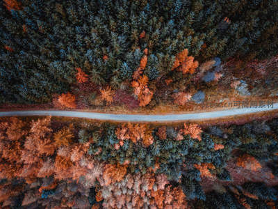 秋林俯瞰如调色，小径穿行色彩间