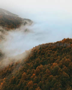 云海缭绕山峦秋色斑斓如画