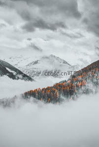 云雾缭绕雪山秋林如画境