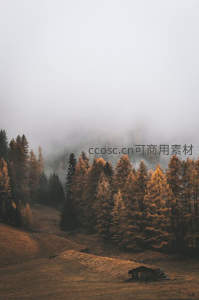 晨雾轻笼秋林小屋隐山间