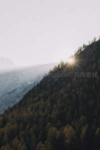 阳光穿透林梢洒满山脊线