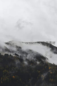 云雾缭绕山林秋色