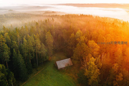 航拍晨雾笼罩林中小屋如画