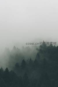 云雾缭绕山巅松林若隐若现