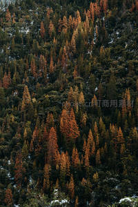 山林秋色斑斓，橙绿交织如油画般绚丽