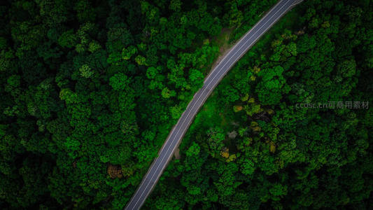 公路穿梭于绿色森林海