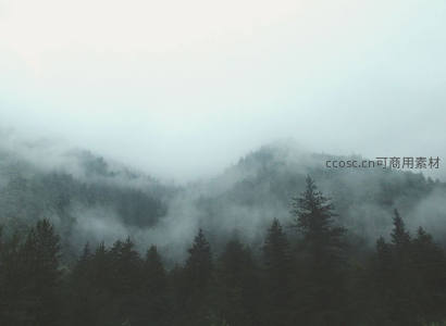 云雾缭绕的山林如仙境般朦胧