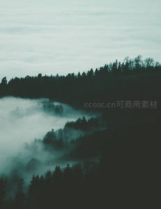 云海缭绕山林如仙境般朦胧