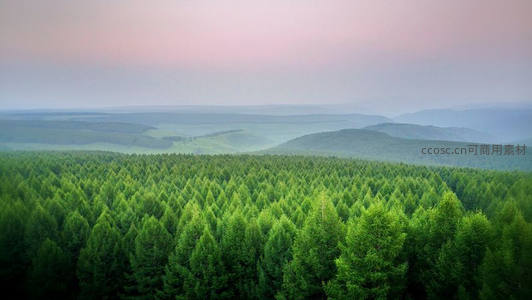 晨曦薄雾笼罩的绿色山林航拍图