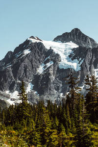 雪山巍峨耸立，松林环绕如画境
