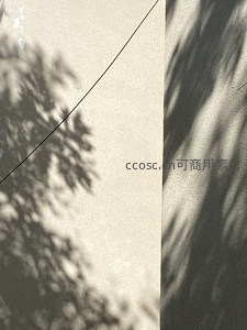 树影斑驳的墙面与斜线构图