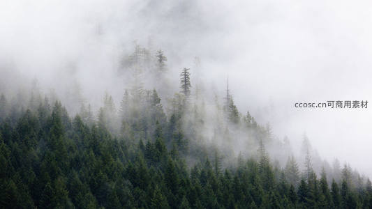 云雾缭绕的森林山峦