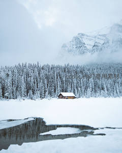雪域孤屋静卧林海，远山云雾缥缈如画