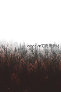 雾霭笼罩林海，秋色染红层林间