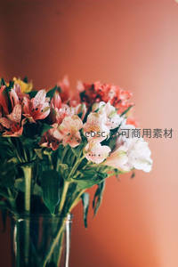 玻璃瓶中绽放的彩色六出花