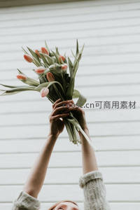 双手高举粉色郁金香花束